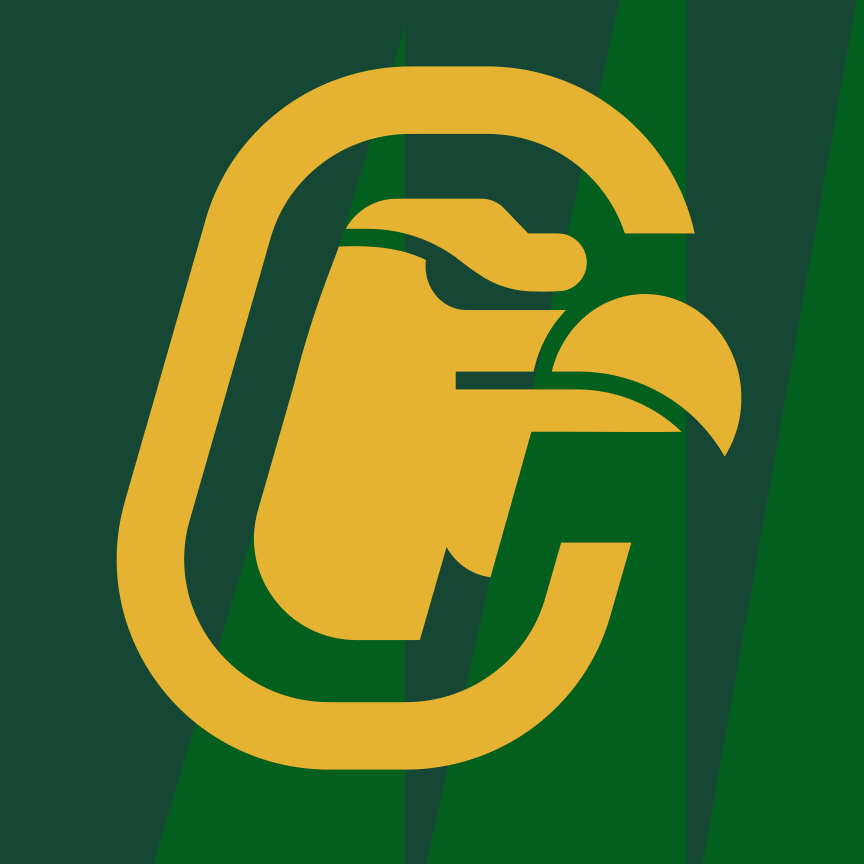 Logo Condors
