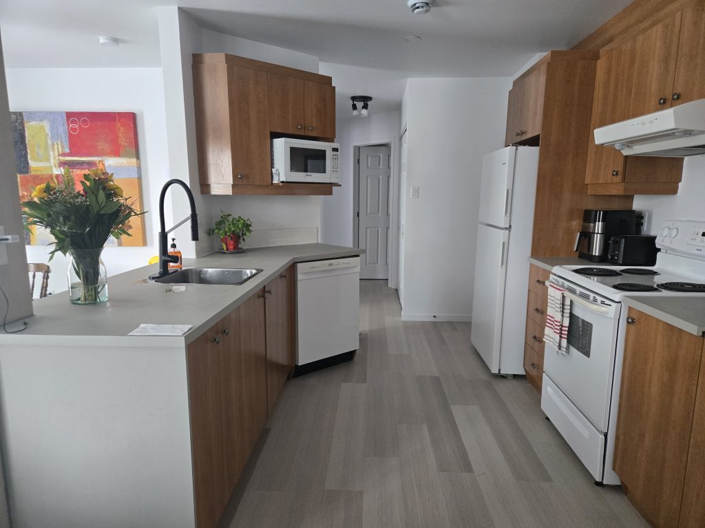 Logement-492_cuisine