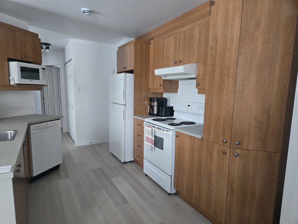 Logement-492_cuisine1